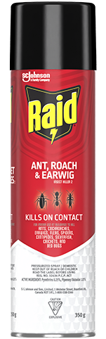 Dog licked raid ant spray best sale